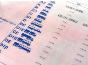 Recupera los puntos del carnet