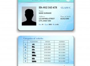 ilustracion-licencia-conducir_1284-5032